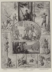 Wildschweinjagd in Nassau